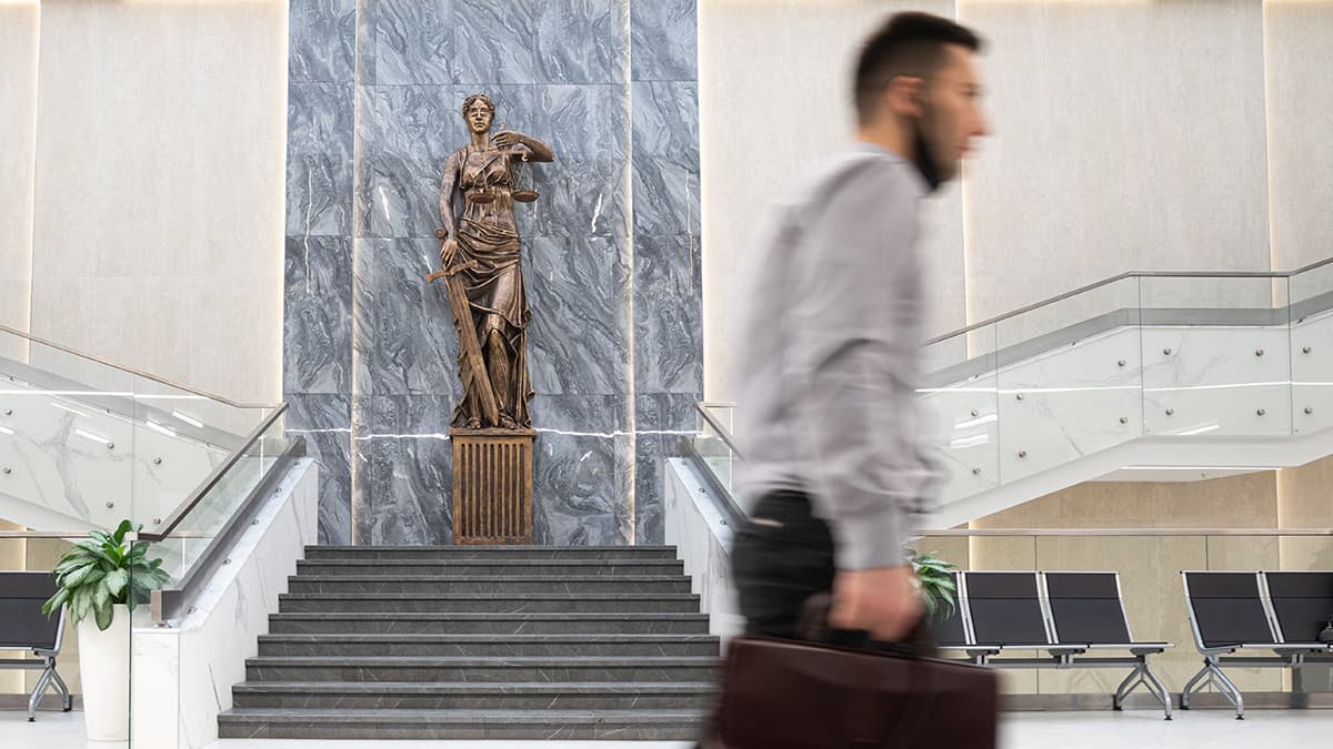 Совет по кодификации поддержал введение срока исковой давности по деприватизации