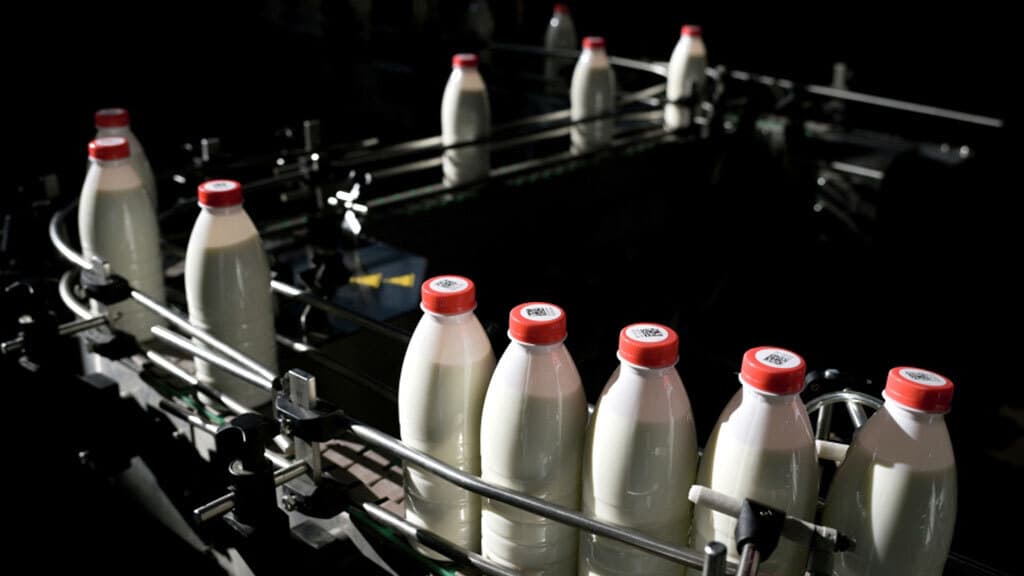 «Логика молока» откроет кафе «Простоквашино» в ГУМе