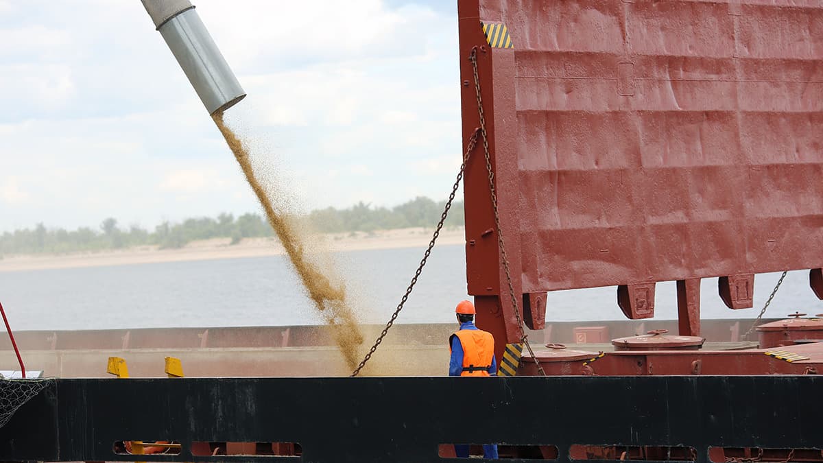 Экспортеры зерна столкнулись с многомиллионными доначислениями пошлин