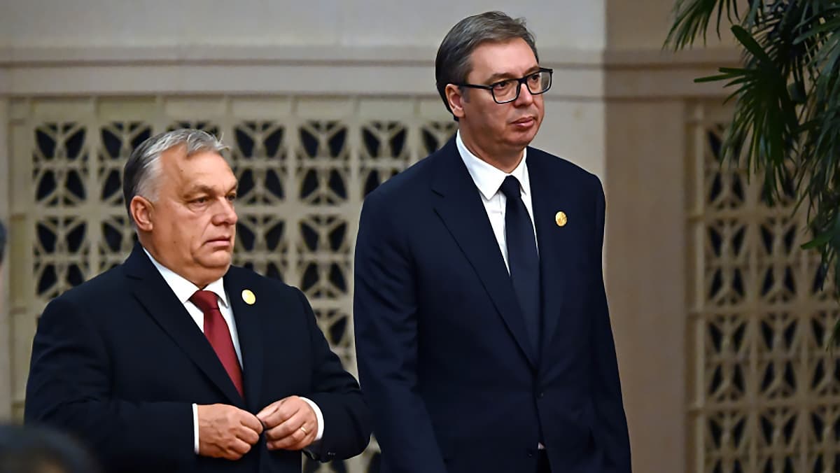 Что значит обнаружение взрывчатки у трубопровода с российским газом в Сербии