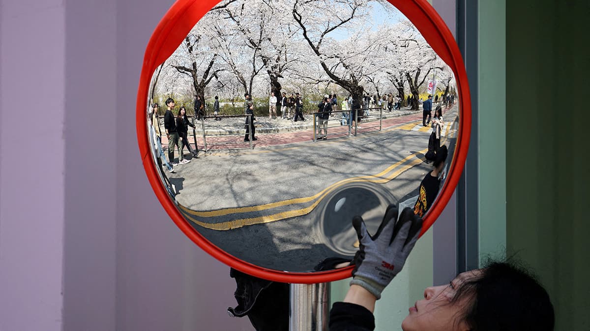 Почему война в Иране толкает власти Южной Кореи раздать деньги 70% населения