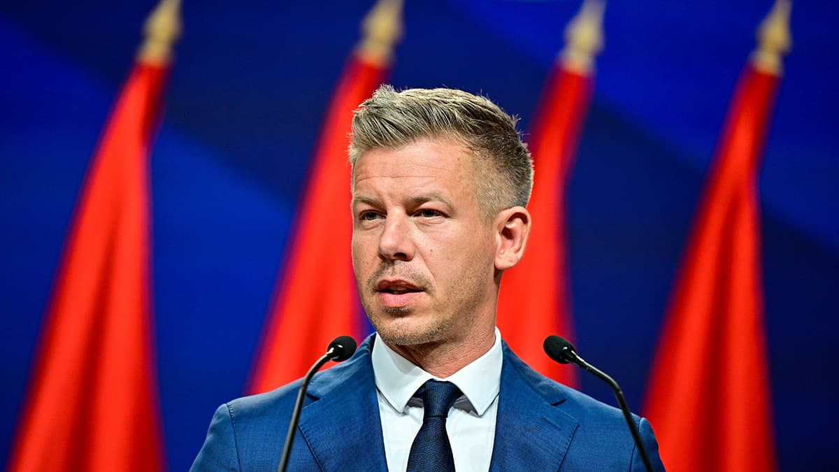 Какие отношения сложатся у России с новым премьером Венгрии Петером Мадьяром