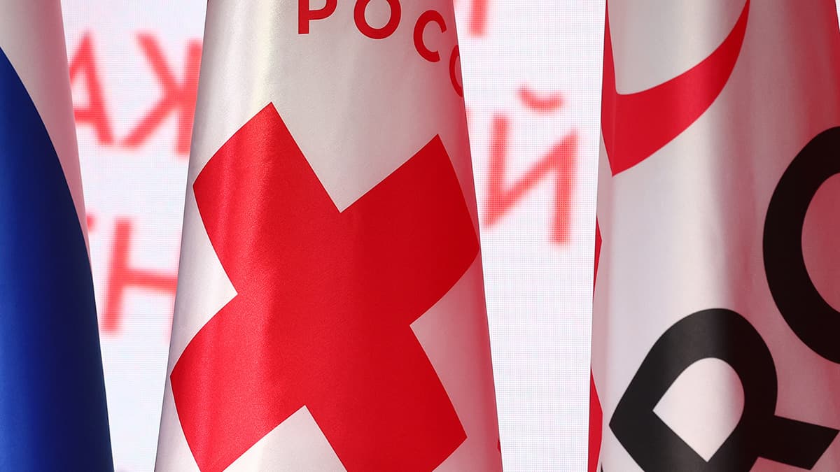 Российский Красный Крест за пять лет привлек 10 млрд рублей для помощи населению