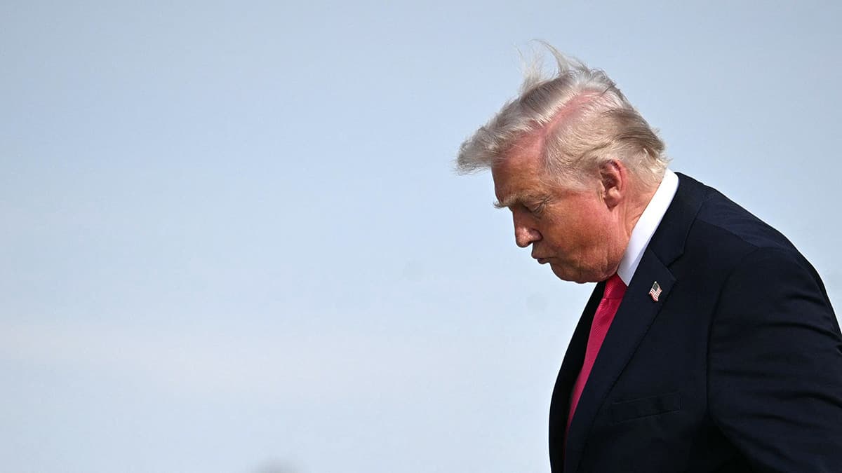 Как работает система возмещения финансового ущерба за отмененные пошлины США