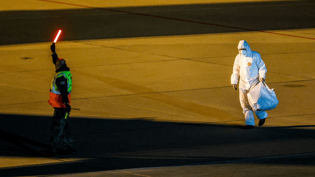 Призрак ковида: когда открыли хантавирус и почему его боятся