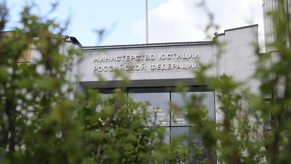 Минюст добавил в список иноагентов проект «Сфера» и активистку Фадееву