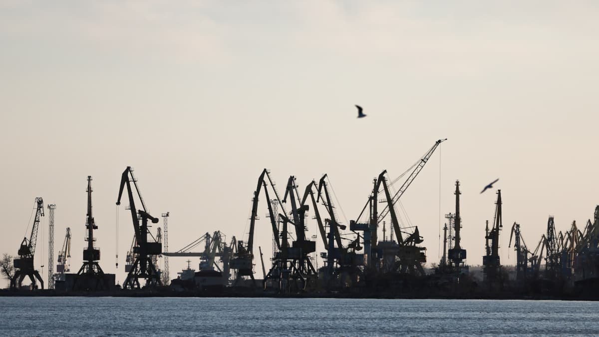 Главное о ситуации в Азовском море