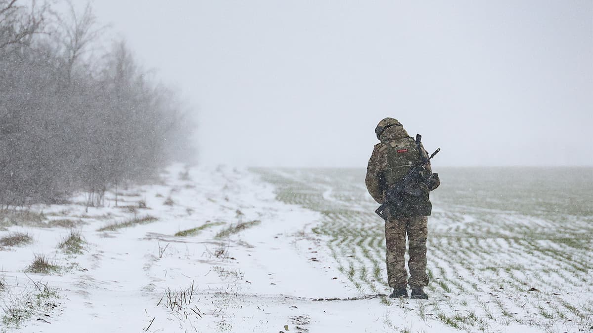 Изъятый РФ у поляков «Кэн-пак» направил полмиллиарда на поддержку участников СВО