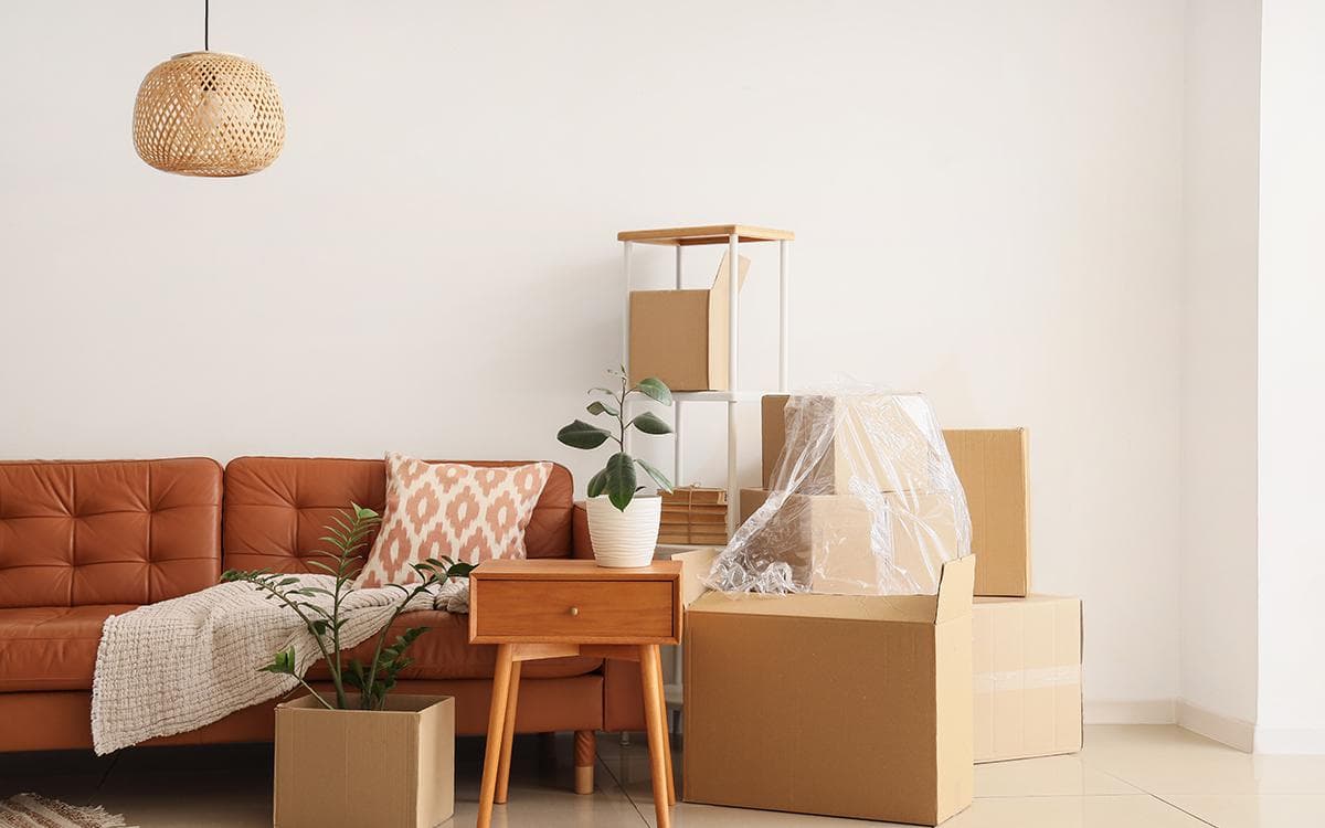 Ремонт, локация и экология: какие квартиры легко сдать в аренду в 2026-м