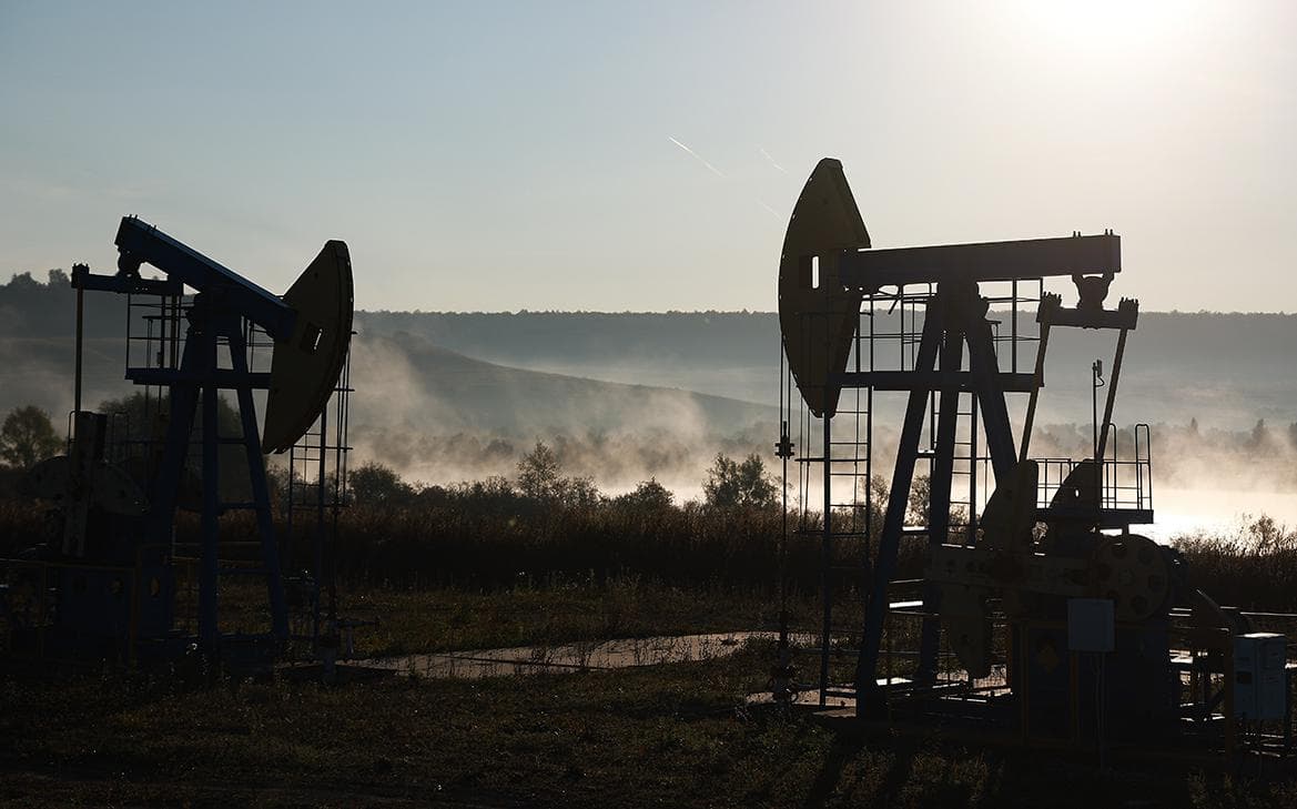 Хорватия предложила замену «Дружбе» в поставках нефти в Венгрию