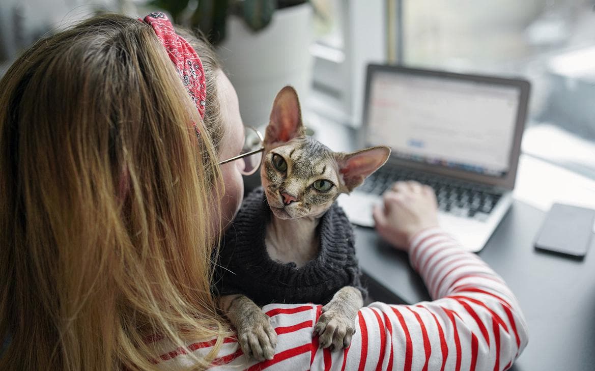 Аналитики оценили готовность россиян доверить выбор покупок ИИ