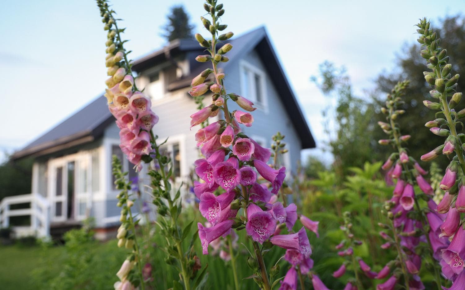 В «Авито» оценили рост спроса на ремонт и строительство на юге России