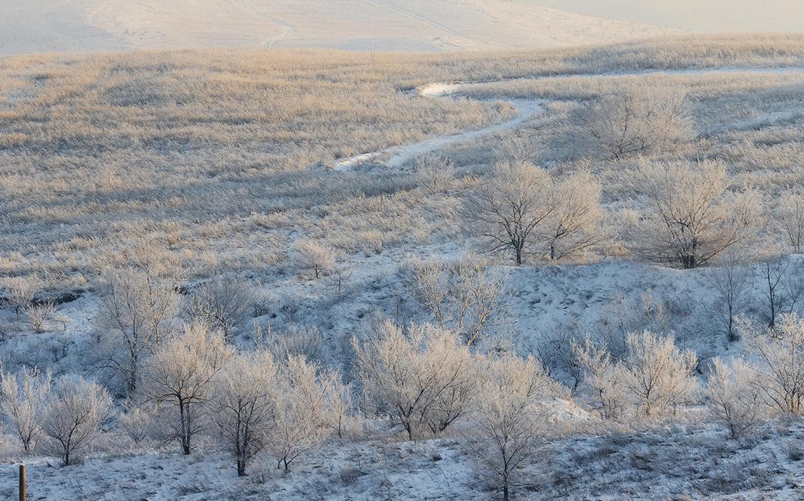 Комитет одобрил состоящий «из замечаний» законопроект об охранных землях