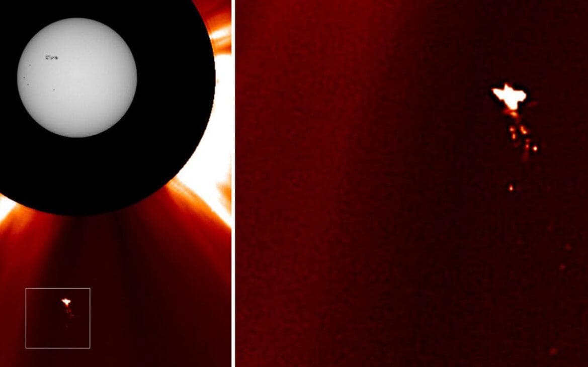 Ученые показали снимок загадочной «птицы» рядом с Солнцем