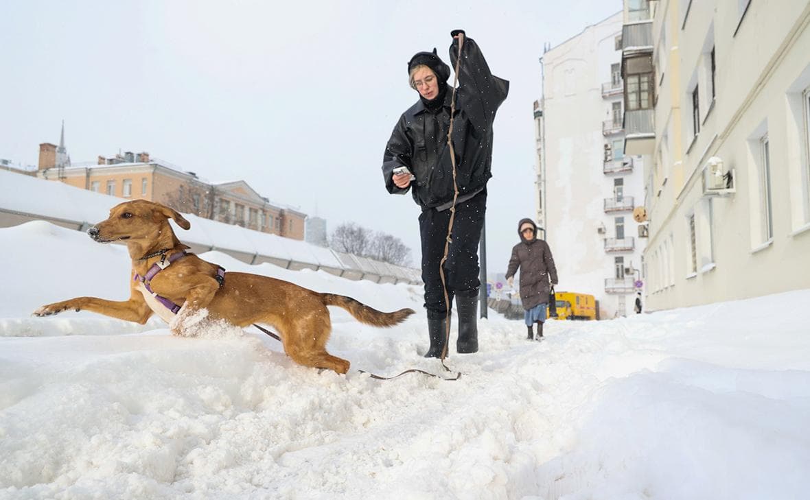 В Москве зафиксирован третий подряд рекорд высоты снежного покрова