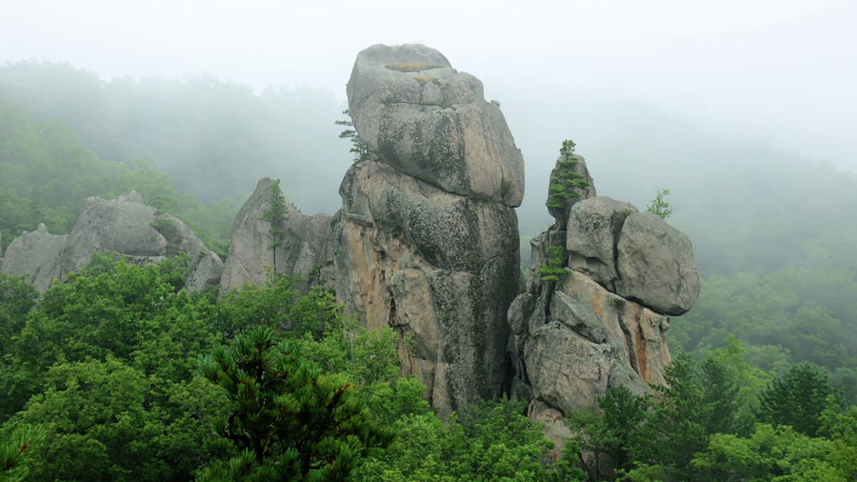 Генпрокуратура проверит нарушение границ Лазовского заповедника в Приморье