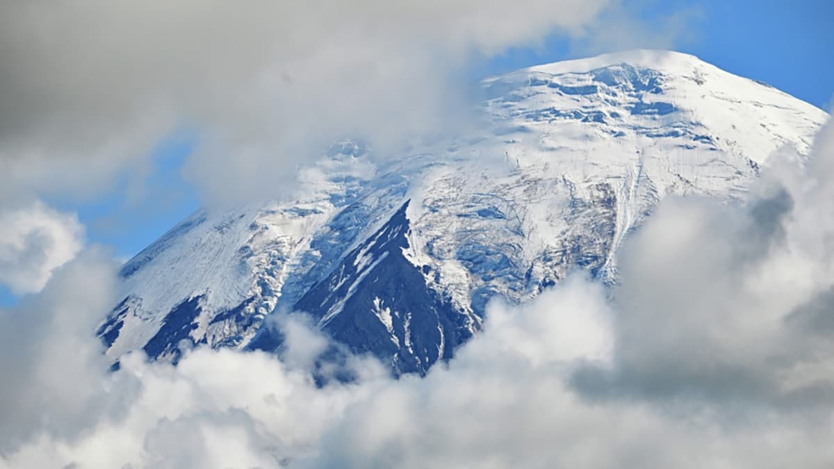 Новую концепцию кластера «Три вулкана» направили на согласование в правительство