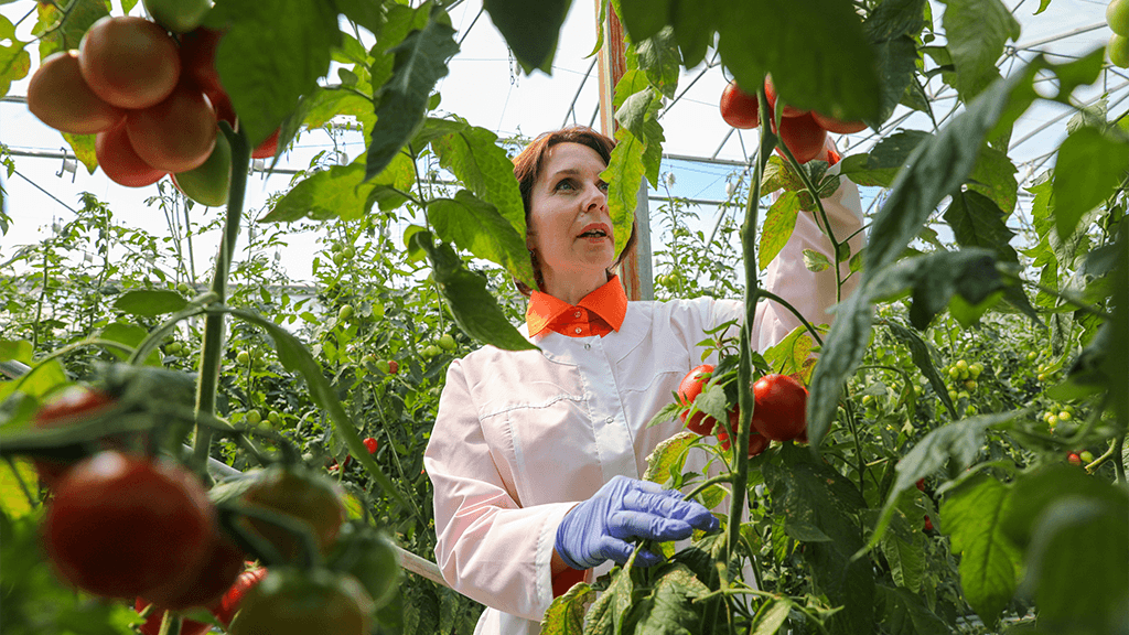 России потребуется 22 000 специалистов в сфере биоэкономики