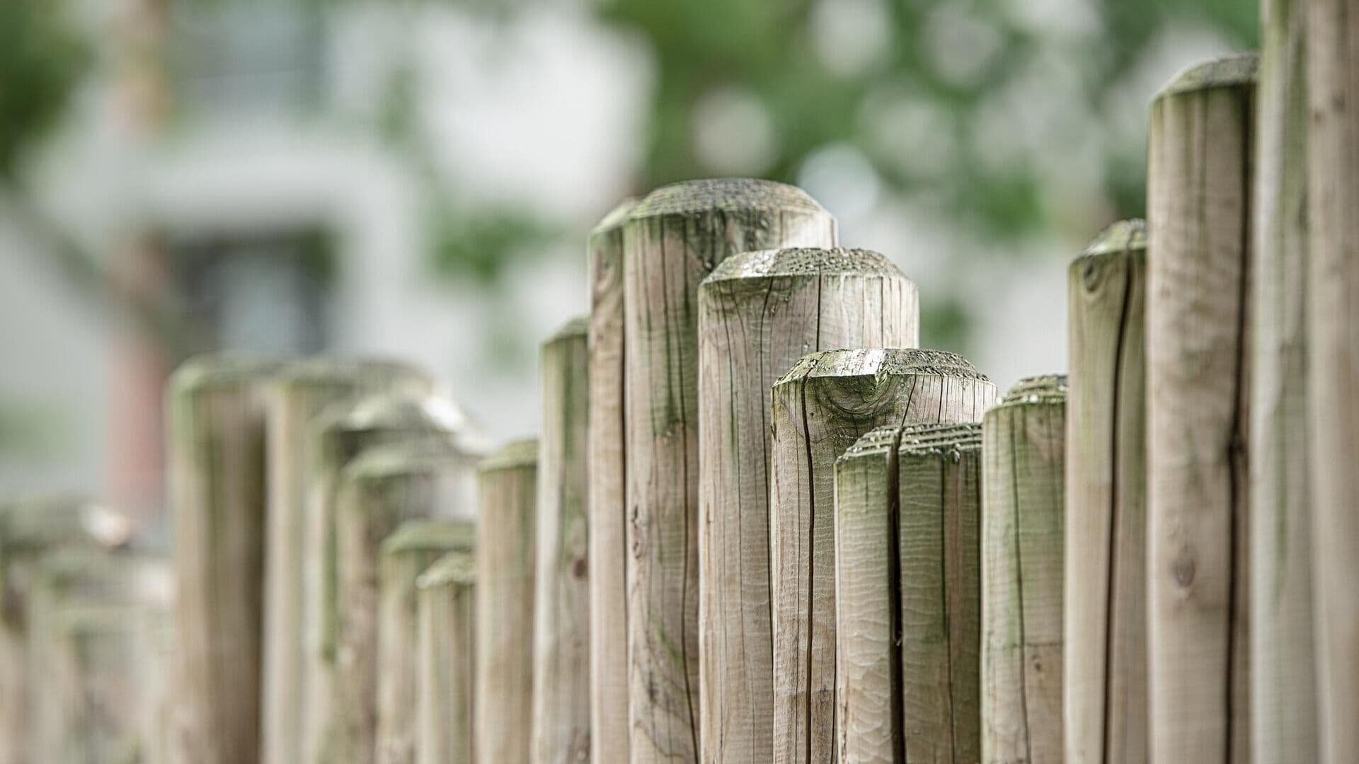 В Госдуме рассказали о штрафах за неправильную установку забора на даче