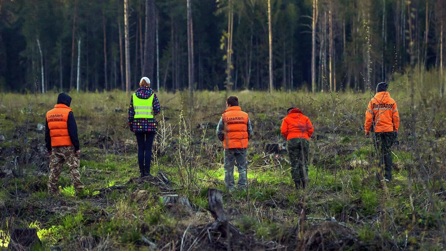 Волонтеры рассказали о ключевом повороте в поисках пропавших в Твери детей