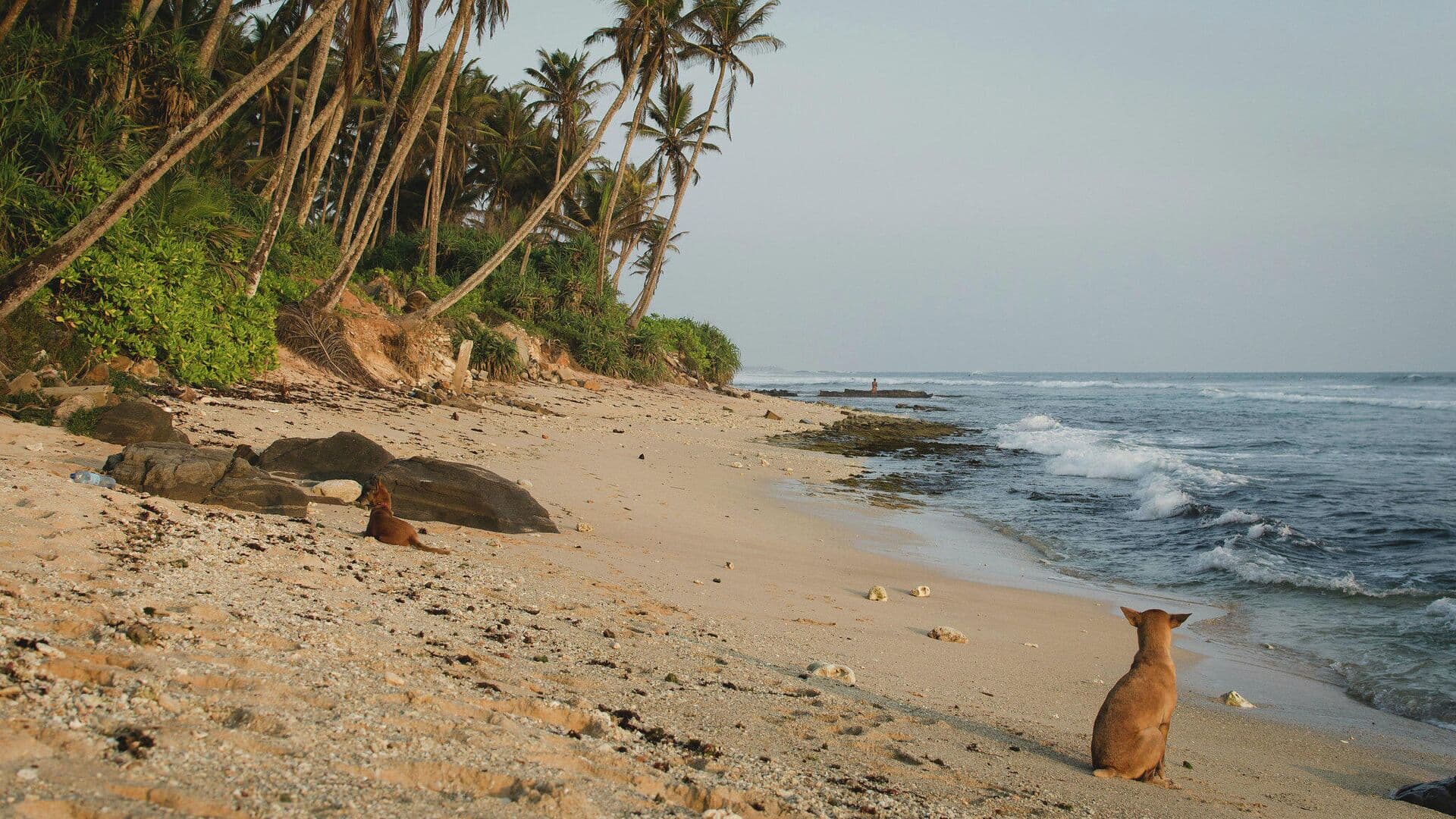 Второе иранское судно запросило разрешение на заход в порт на Шри-Ланке