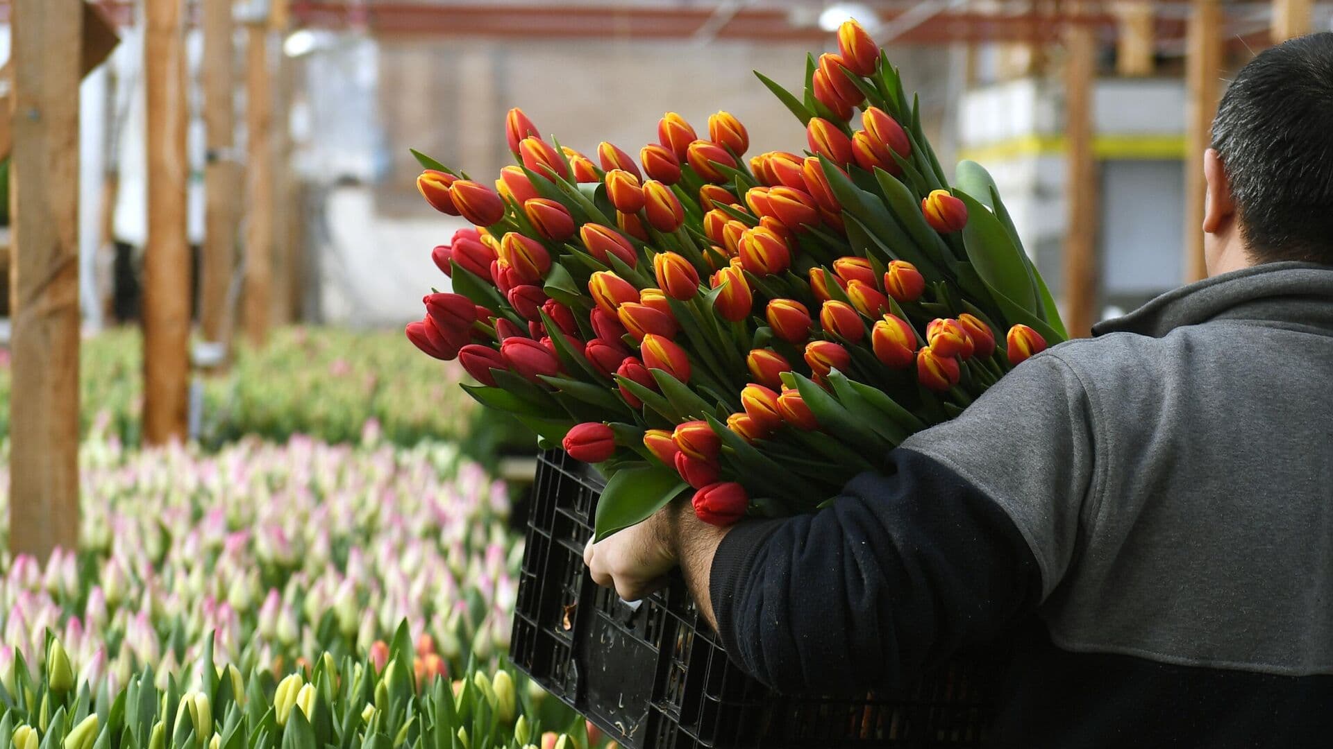 Россияне назвали самые необычные подарки на 8 Марта