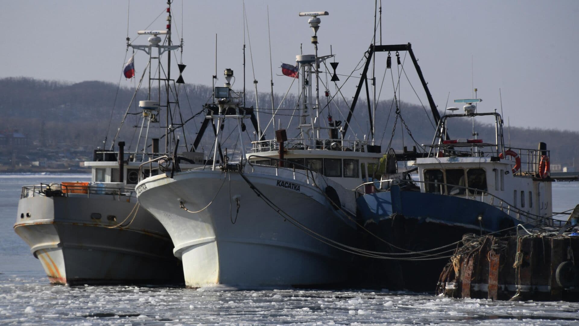 Росрыболовство выступило против введения экспортных пошлин на рыбу