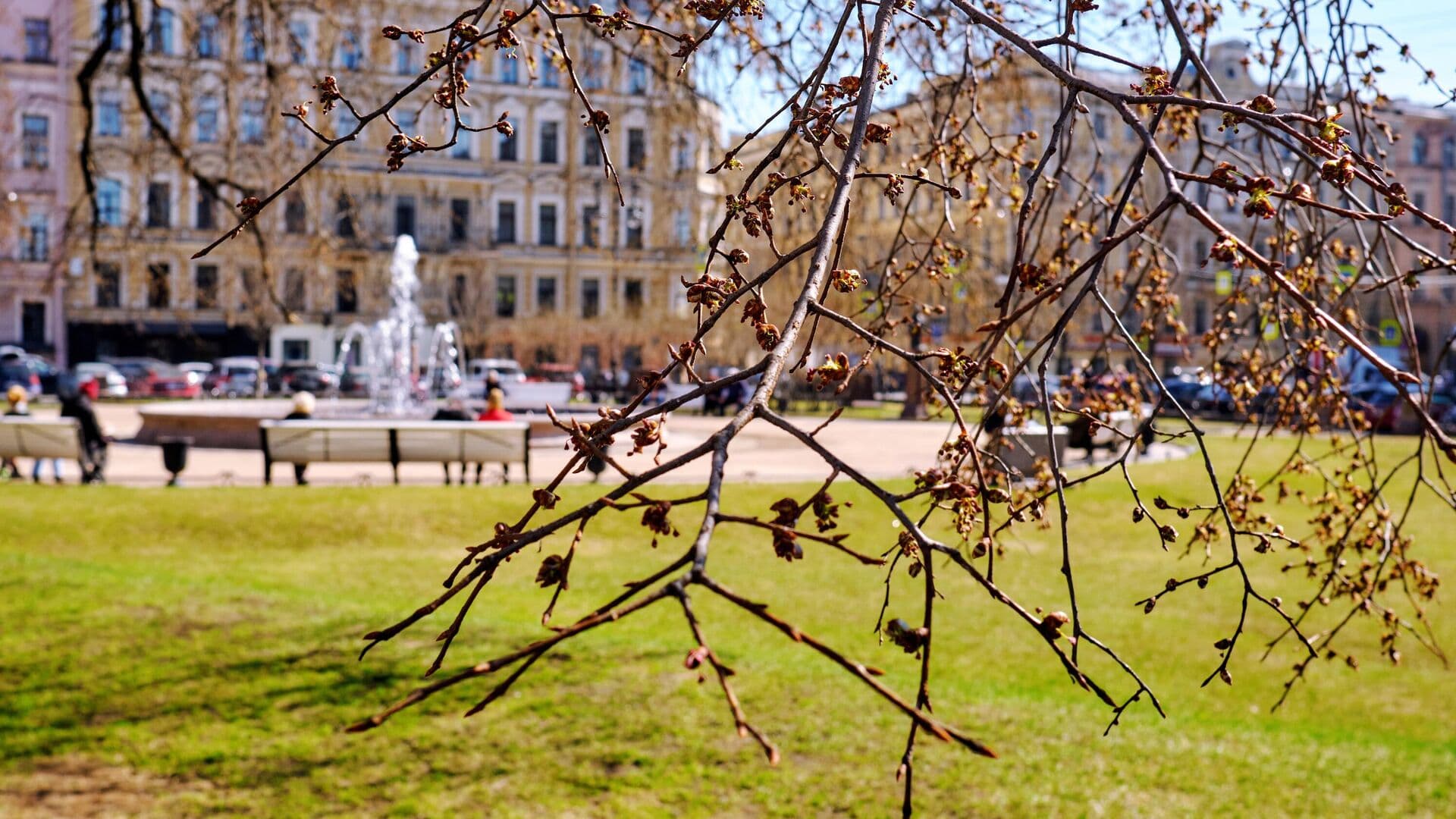 Названы самые популярные у семей с детьми направления на майские праздники