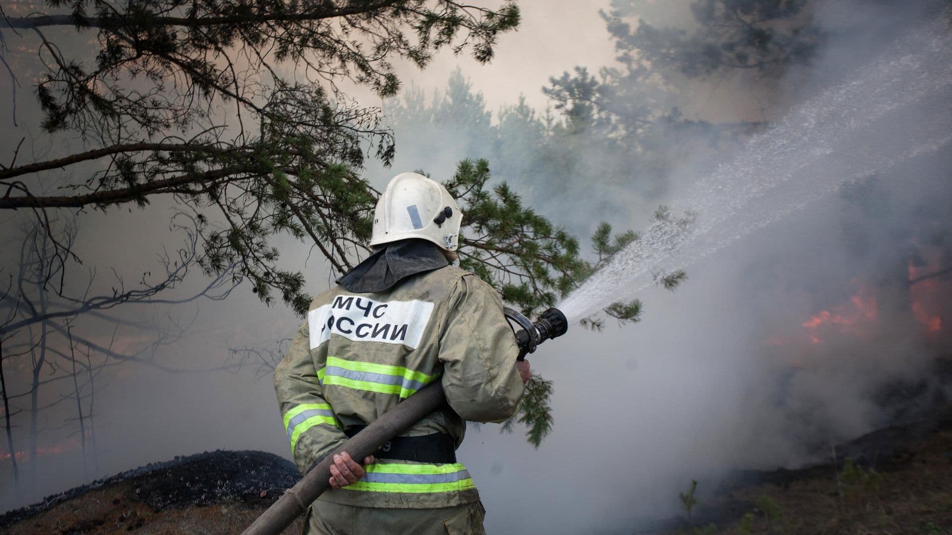 В России за сутки потушили 13 лесных пожаров