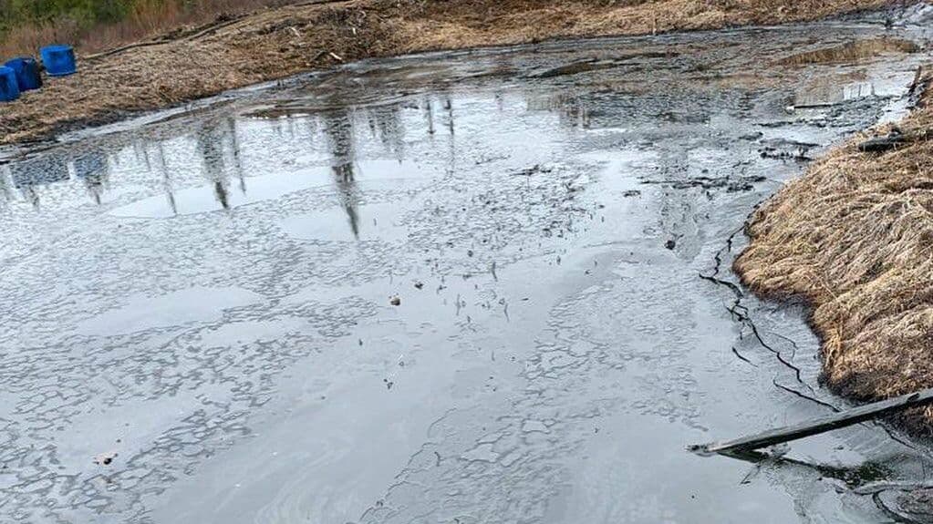 В Сибири нашли способ ликвидировать разливы нефти с помощью бактерий