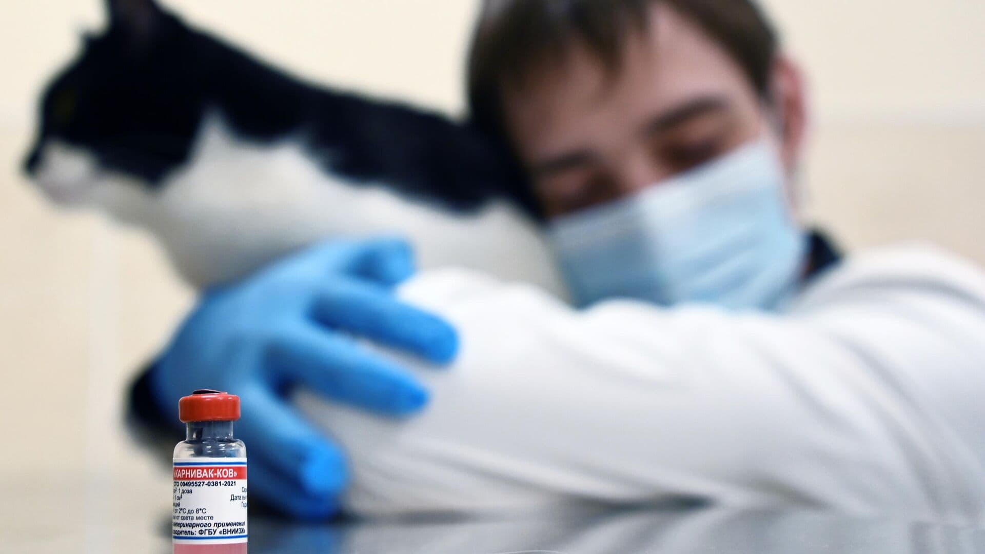 Эксперт призвала выпускать в России больше вакцин для домашних питомцев