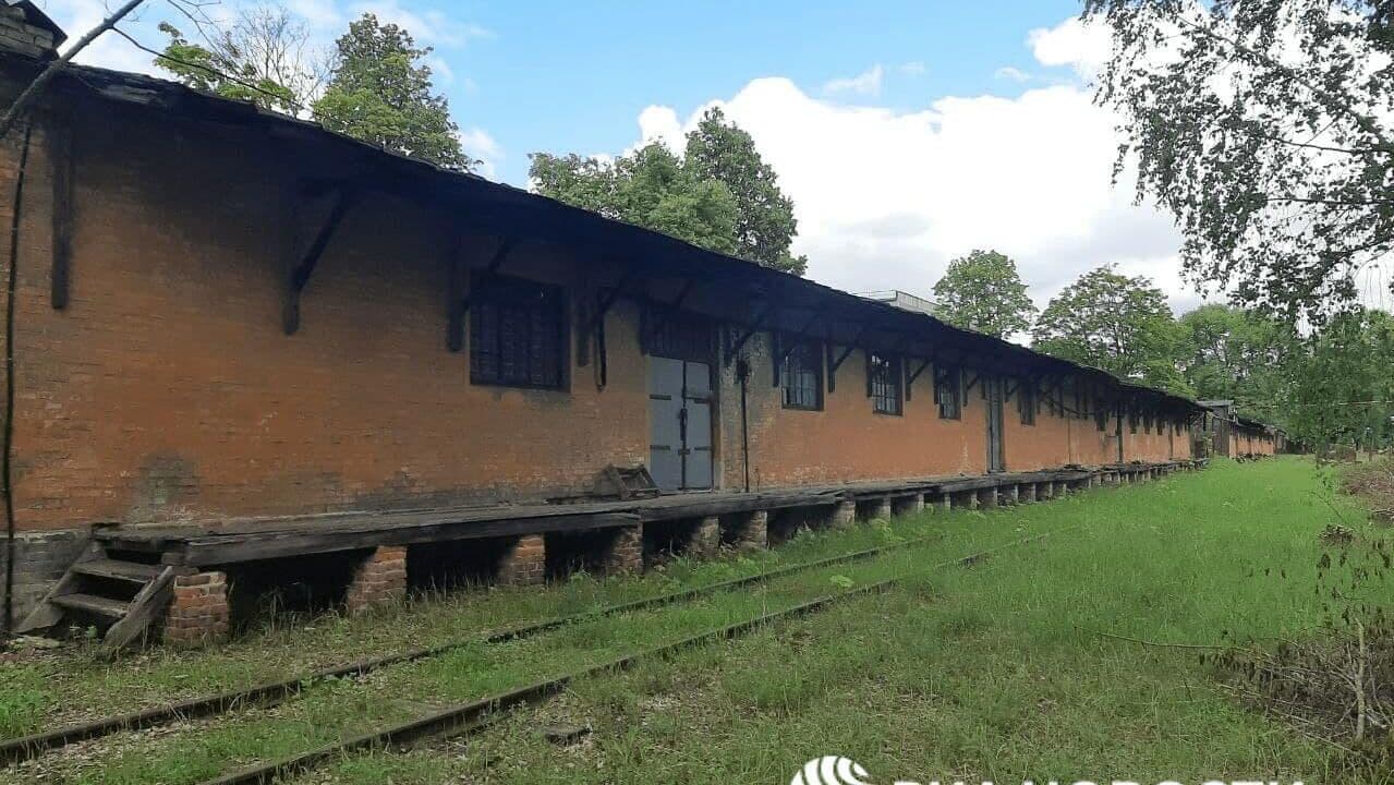 Историк объяснил, почему о "Брянском Бухенвальде" знают немногие