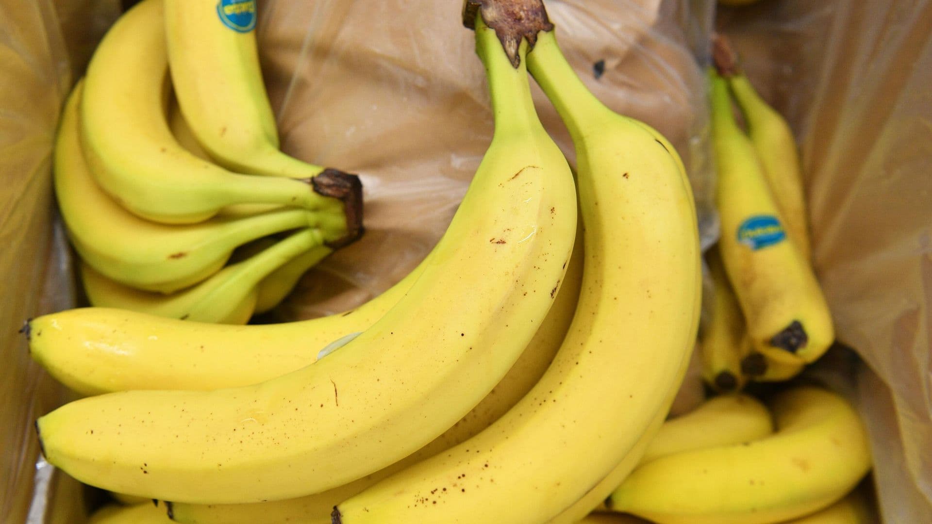 Психолог рассказал, какие продукты поднимают настроение