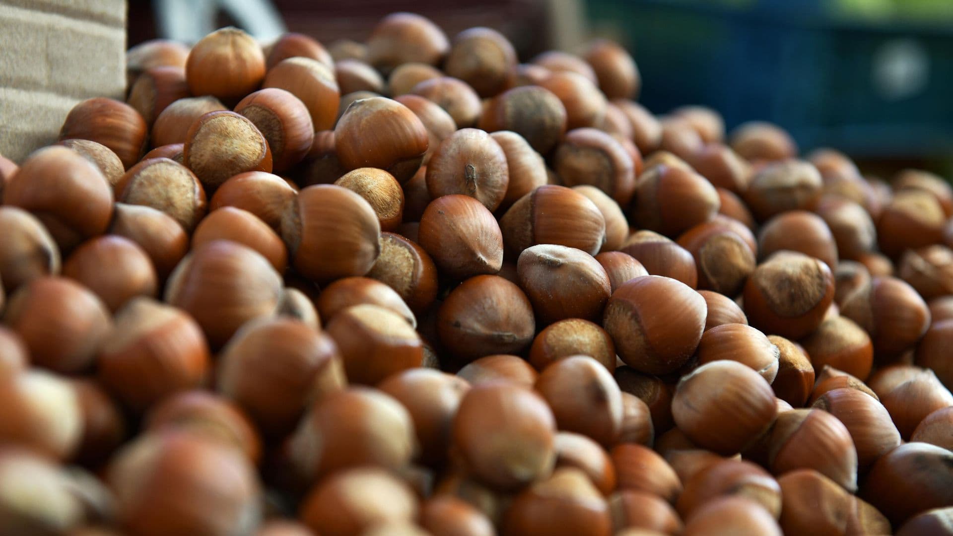 Cвященник рассказал, что делать с орехами на Ореховый спас