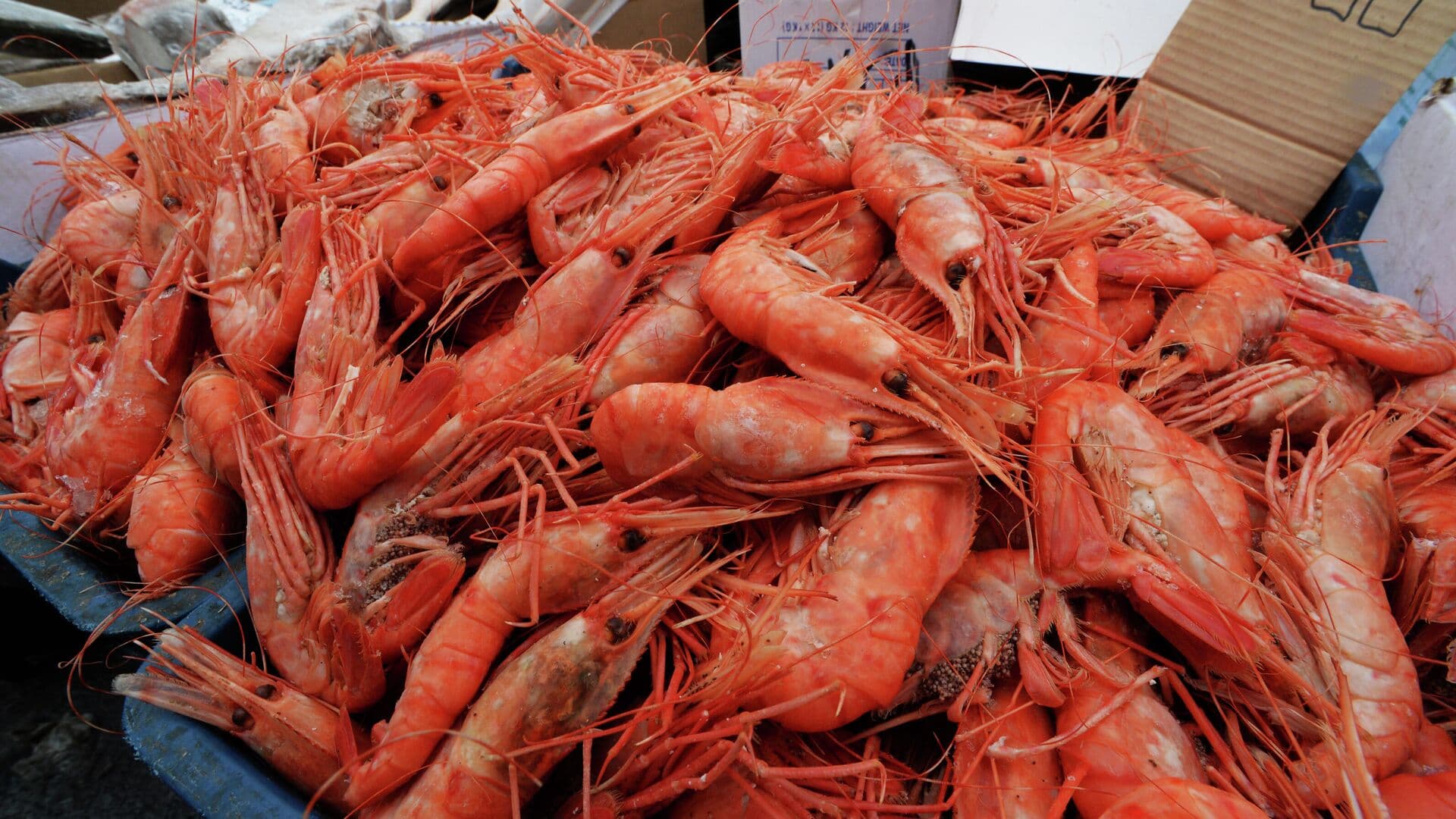 В Рыбном союзе назвали морепродукт, который укрепляет иммунитет