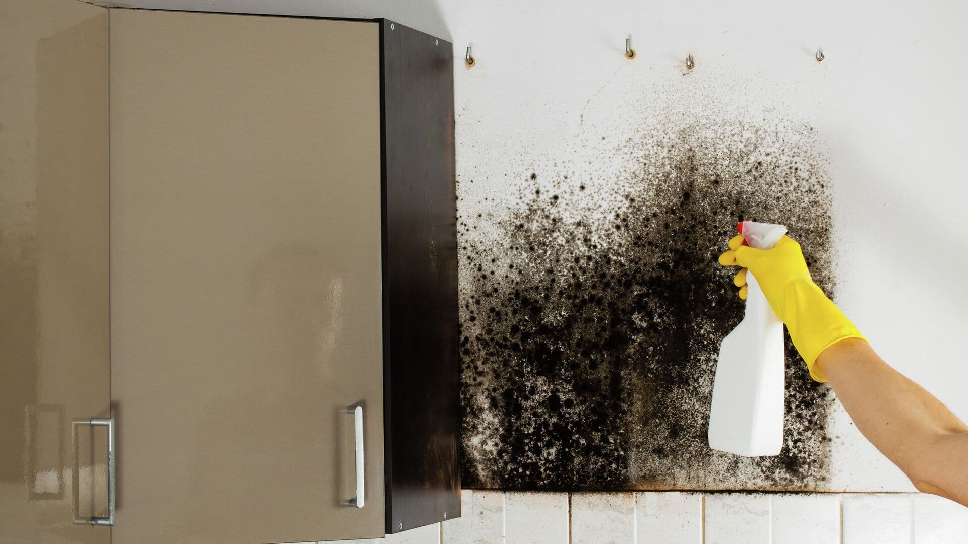 В Орске пострадавшие от наводнения судятся с застройщиком из-за плесени