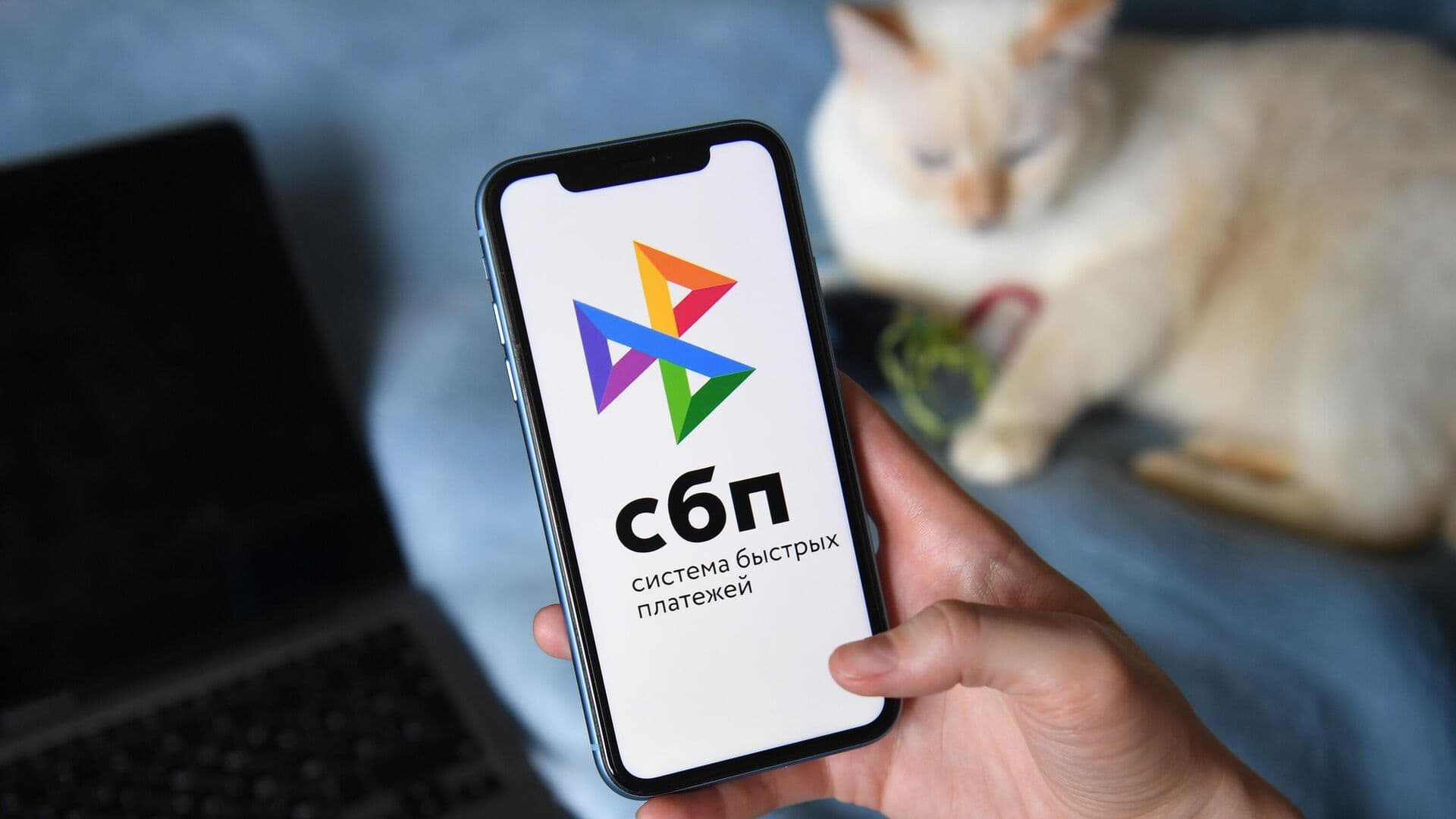 Российские банки будут обмениваться ИНН клиентов при переводах через СБП