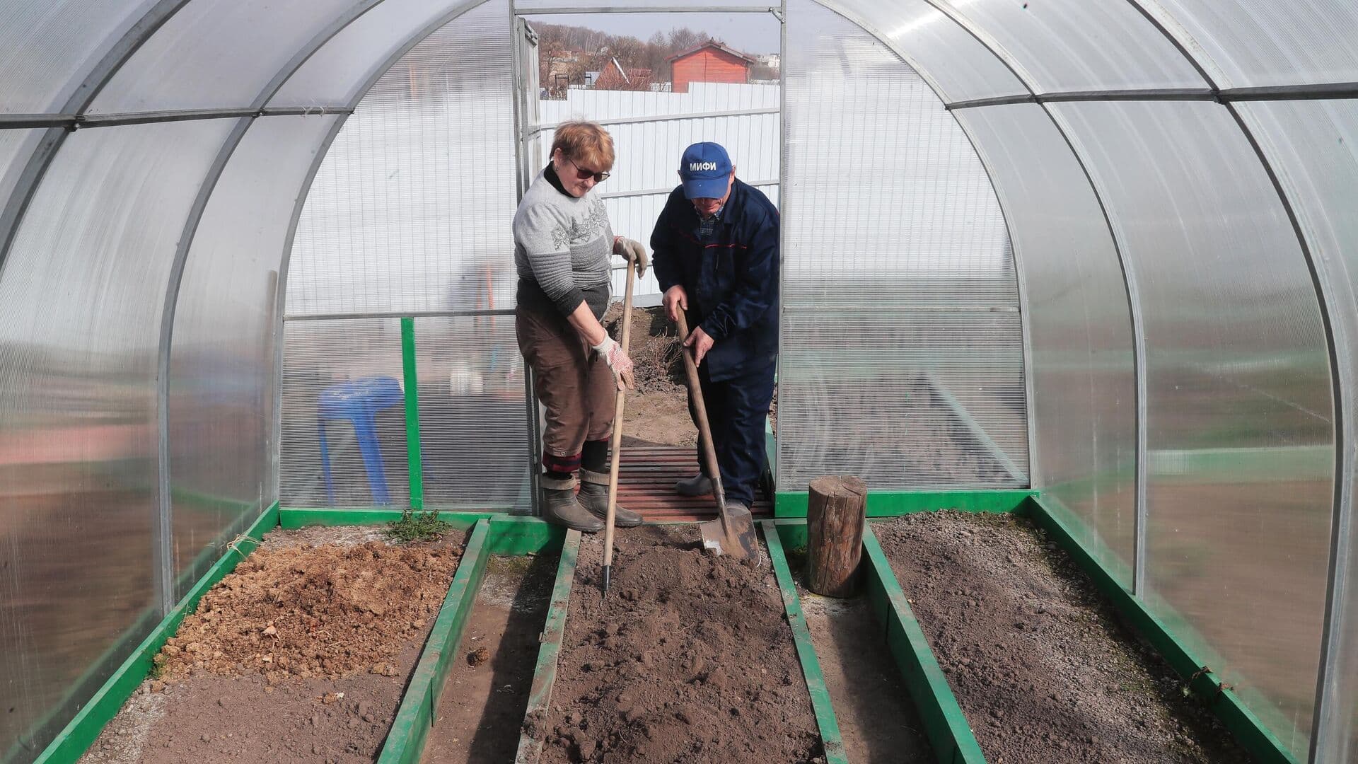 В союзе дачников Подмосковья рассказали, чем обработать теплицу от болезней