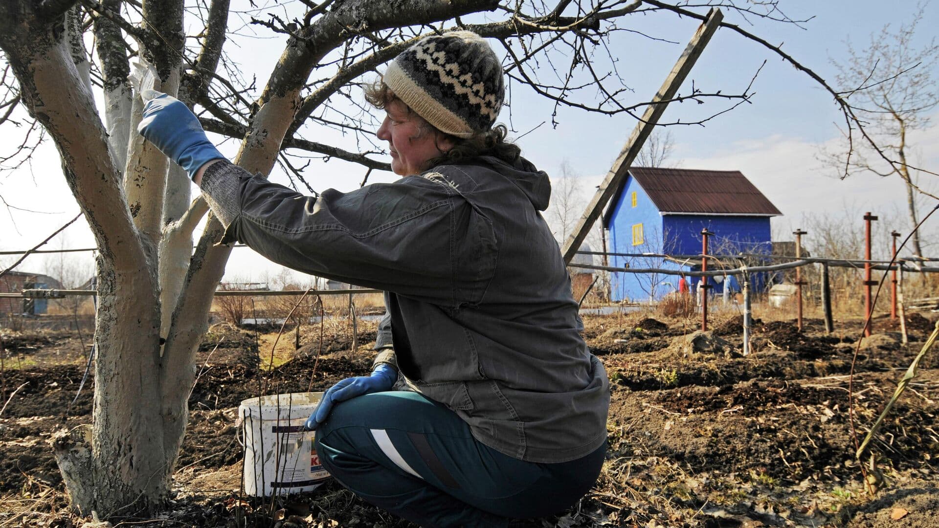 В Союзе дачников рассказали, что нужно успеть сделать на участке в марте