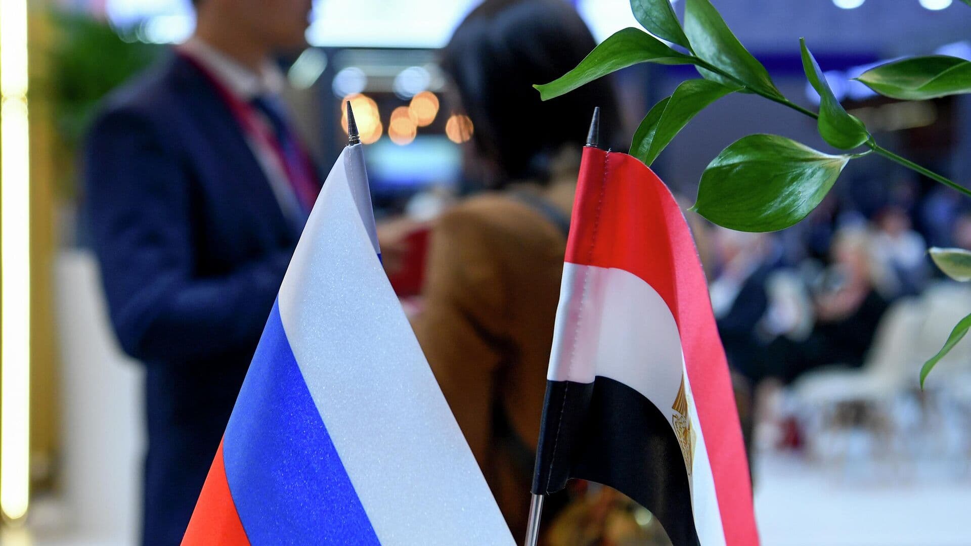 Москва и Каир гордятся стратегическим партнерством, заявили в МИД Египта