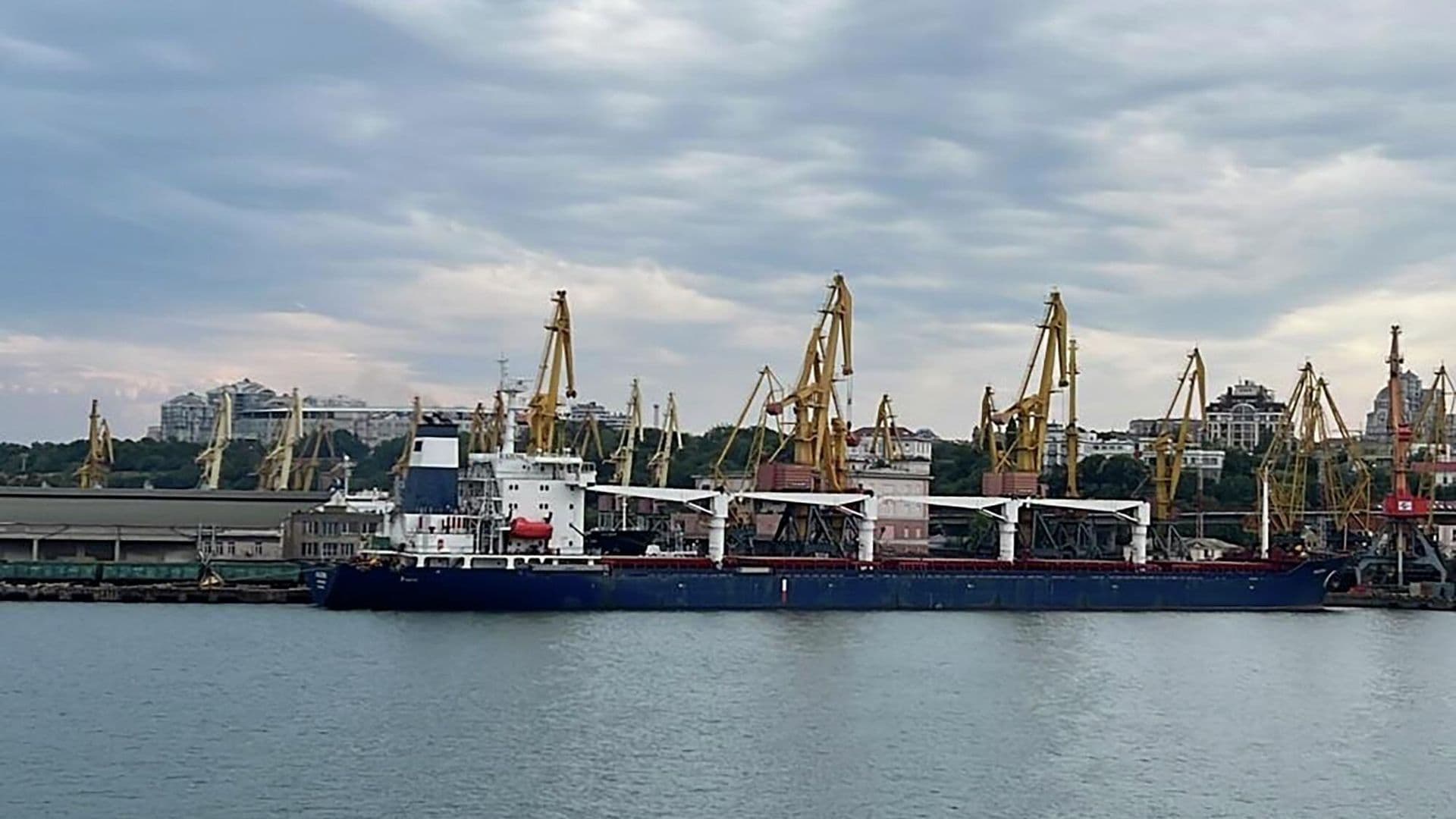 У Украины начались проблемы с экспортом зерна через Черное море, пишут СМИ
