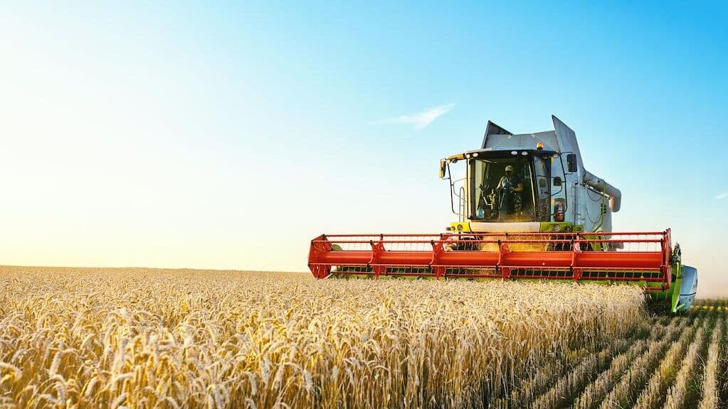 Россия в марте втрое нарастила поставки пшеницы в Грузию