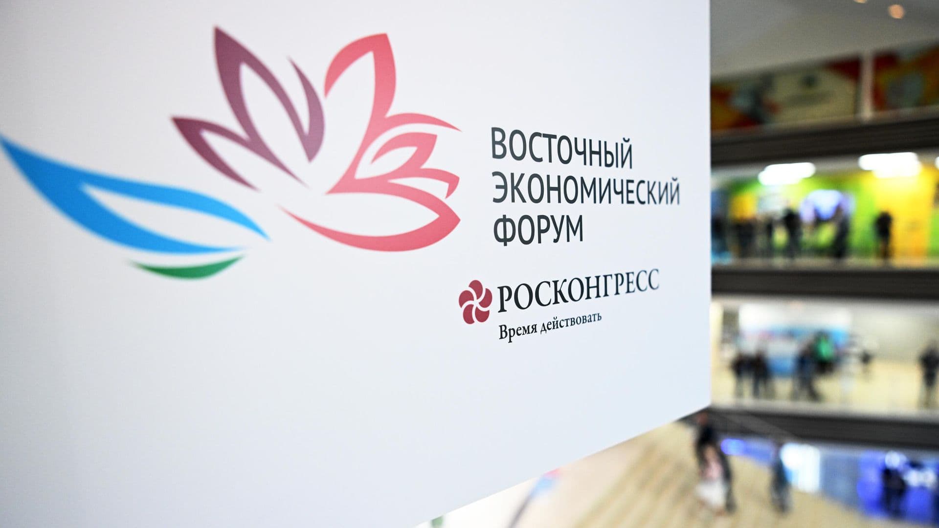 Трутнев рассказал, сколько стран примут участие в ВЭФ