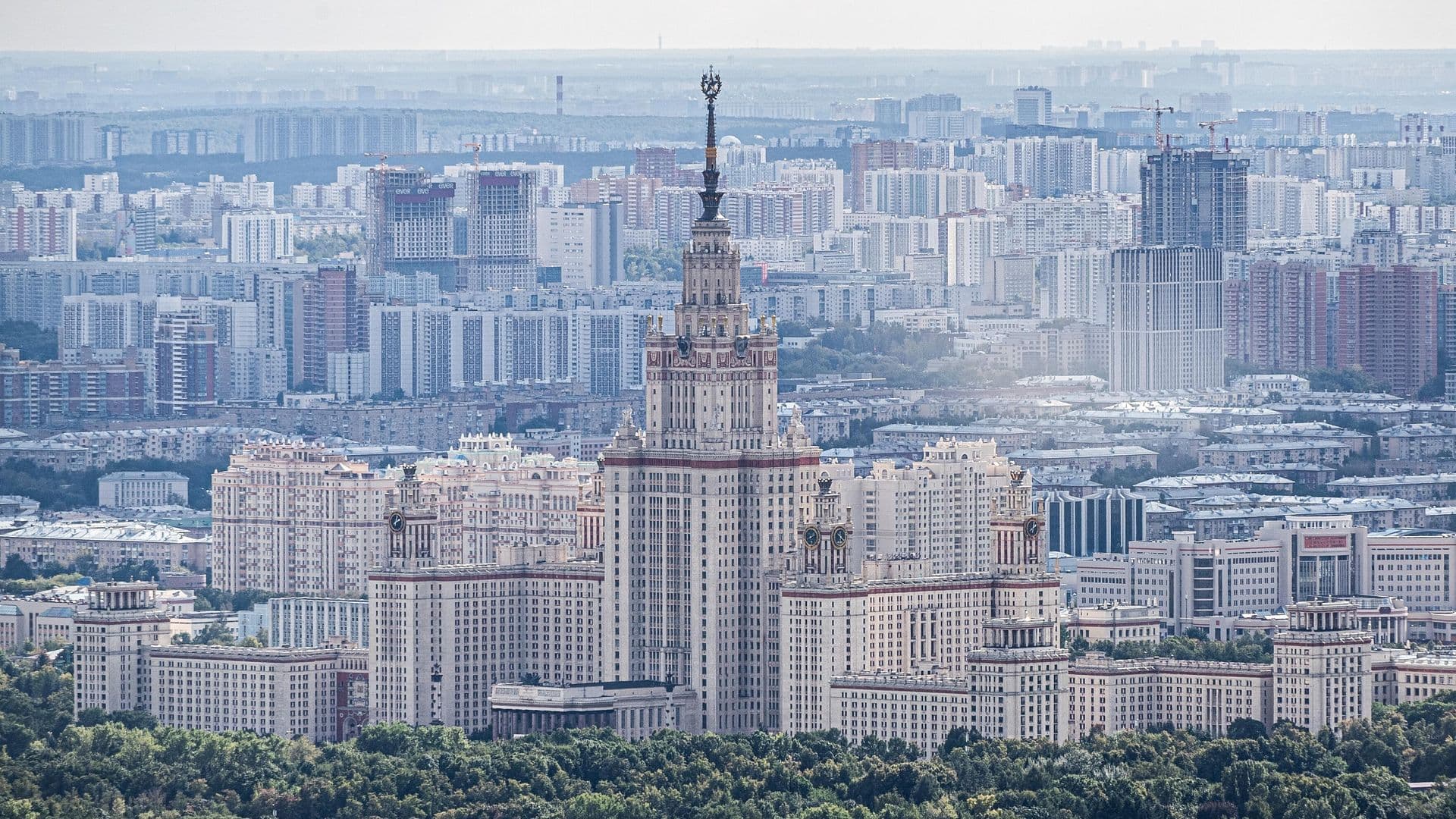 В МГУ рассказали о количестве поданных заявлений на бюджетные места