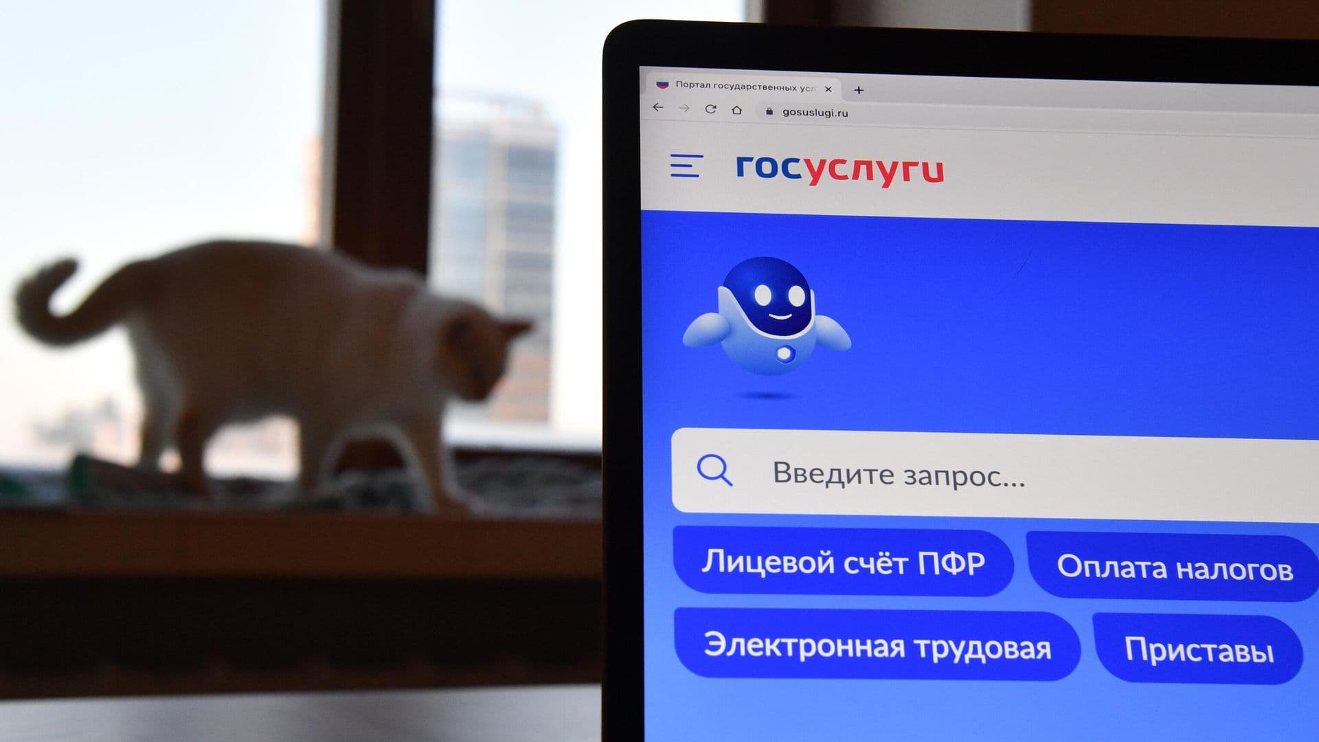 Россияне смогут узнать о доступных мерах соцподдержки через "Госуслуги"