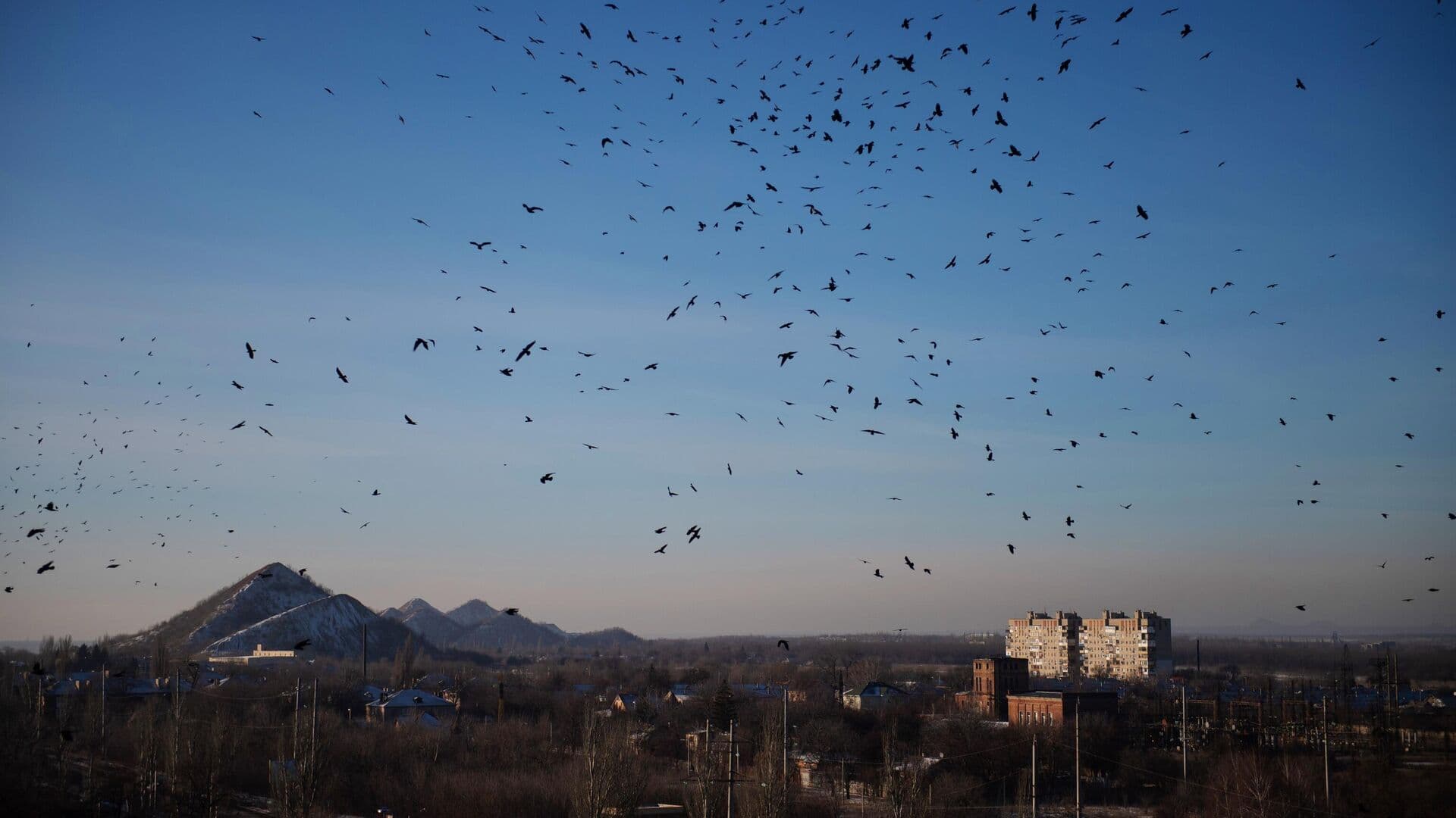 Власти ДНР призвали жителей ограничить энергопотребление после атаки ВСУ