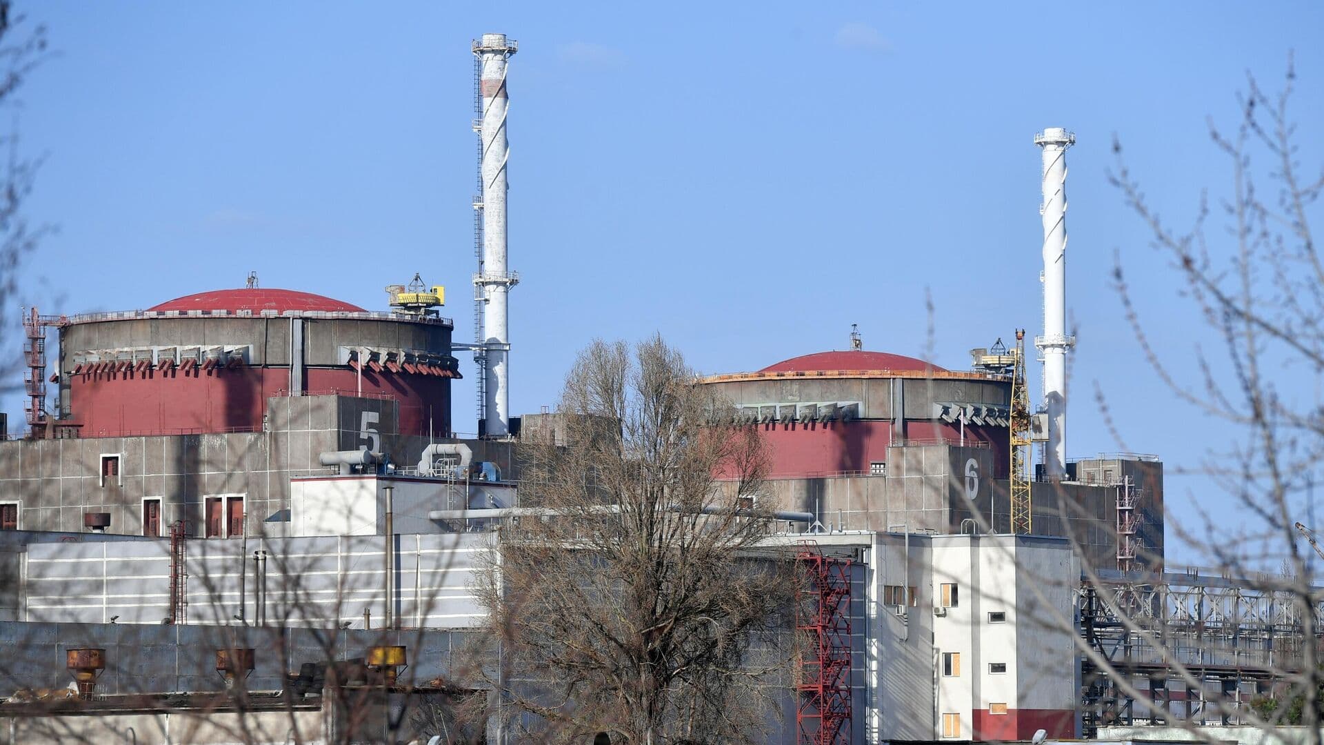 На ЗАЭС рассказали о действиях персонала после потери электроснабжения