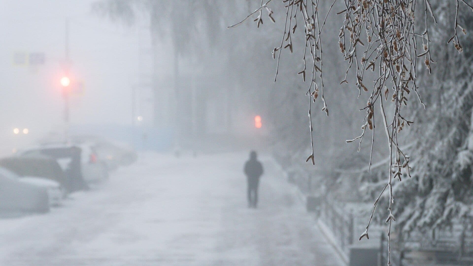 Аллерголог рассказала, когда наступит сезон цветения