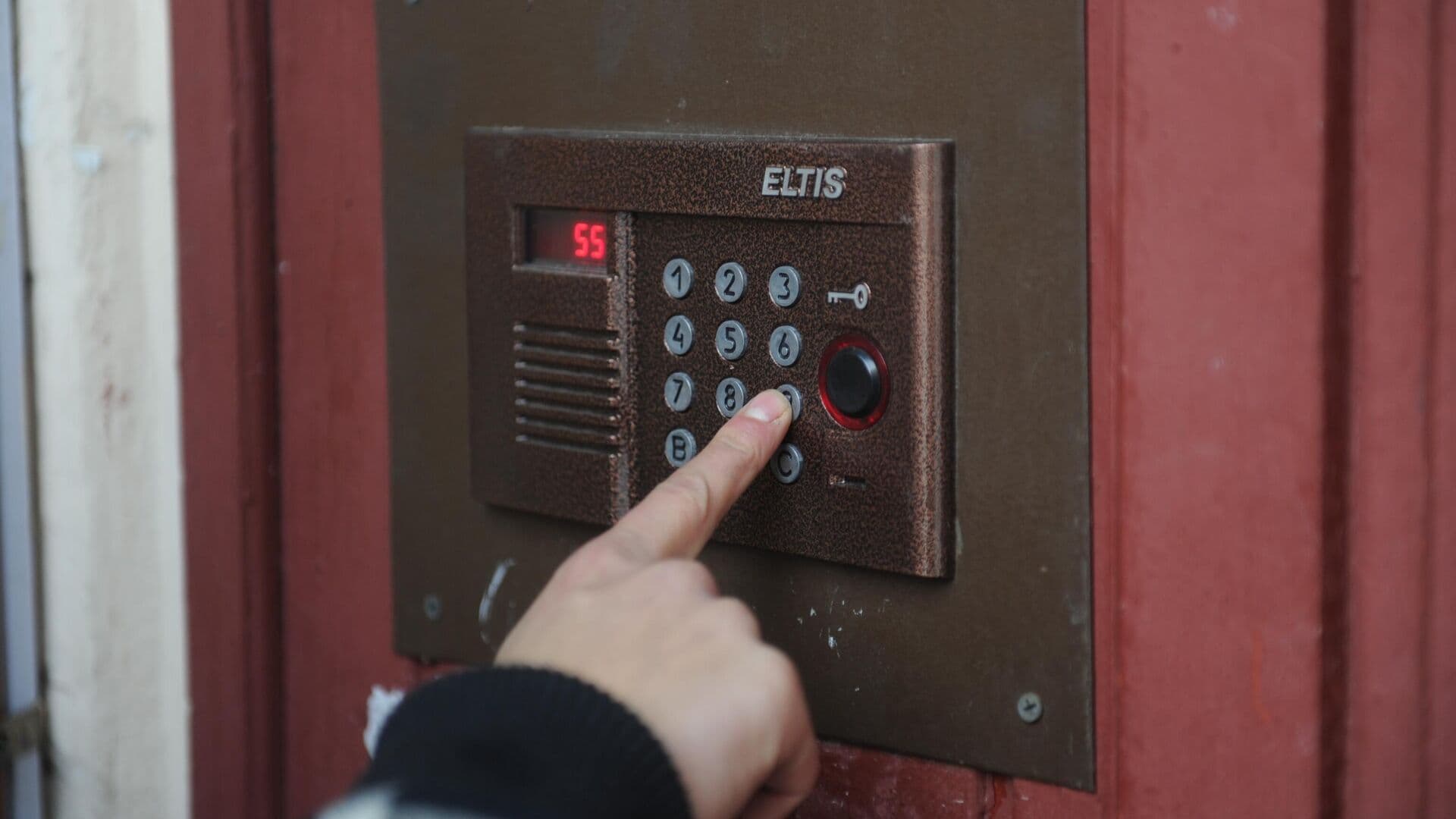 В МВД назвали самый распространенный предлог для кибермошенничества