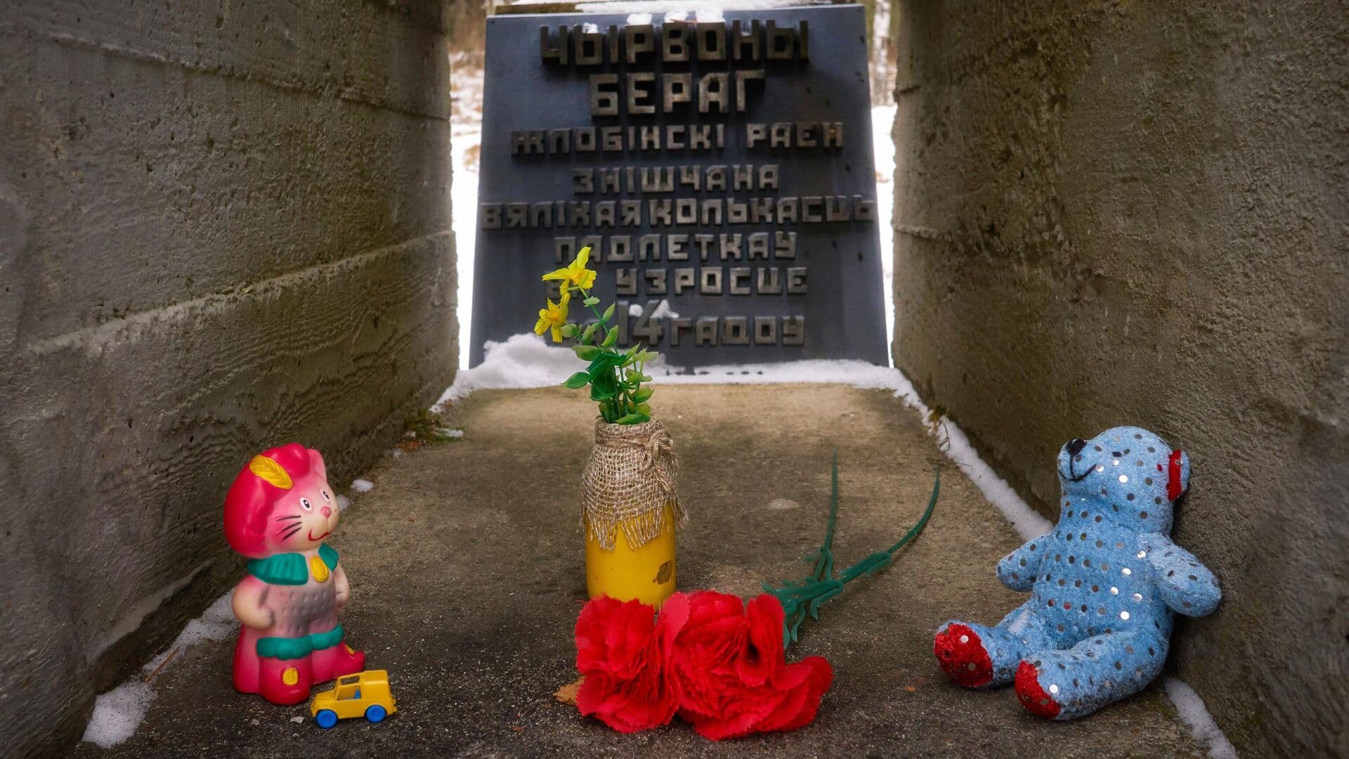 Следствие в Белоруссии выявило еще 104 деревни, разделившие судьбу Хатыни